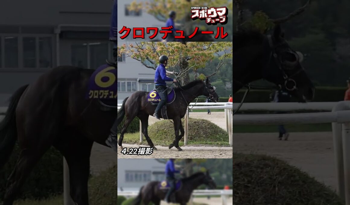 【天皇賞・春1週前】アドマイヤズーム　栗東での様子