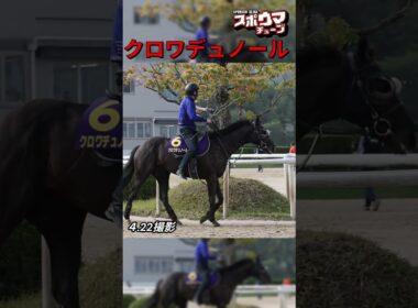 【天皇賞・春1週前】アドマイヤズーム　栗東での様子