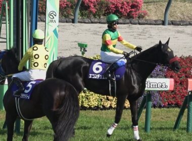 【本馬場入場】2026 J・GⅠ 中山グランドジャンプ　【中山競馬場】