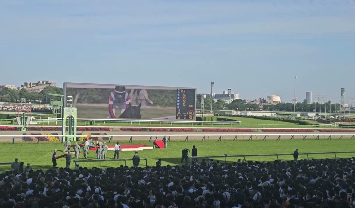 第86回皐月賞2026