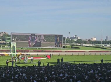 第86回皐月賞2026