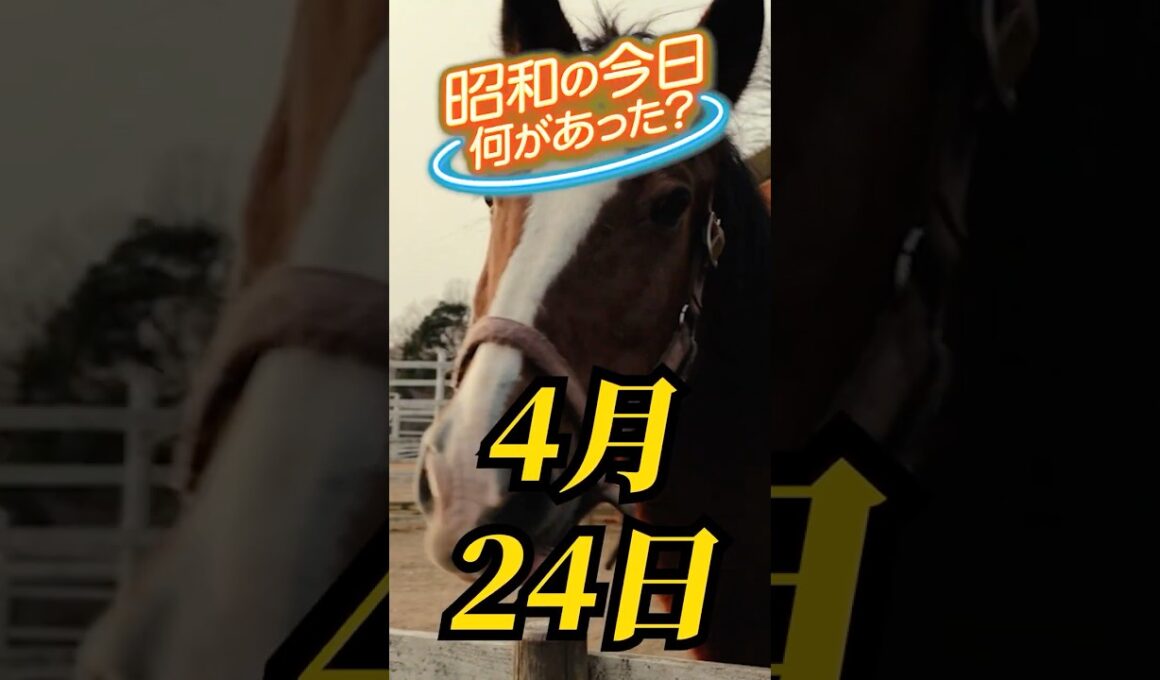 4月24日。昭和の今日、何があった？「日本ダービー」