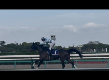 感動🥲 中山グランドジャンプ2026の裏側 一番最後を走るポリトナリティーと水沼元輝騎手に対し競馬ファンは…？