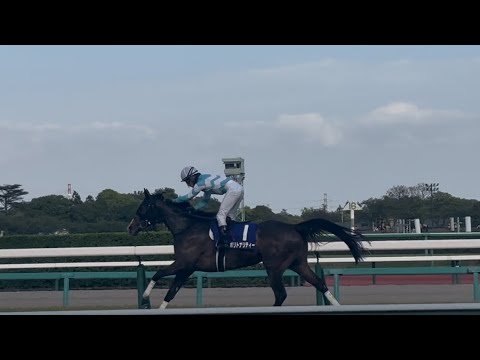 感動🥲 中山グランドジャンプ2026の裏側 一番最後を走るポリトナリティーと水沼元輝騎手に対し競馬ファンは…？