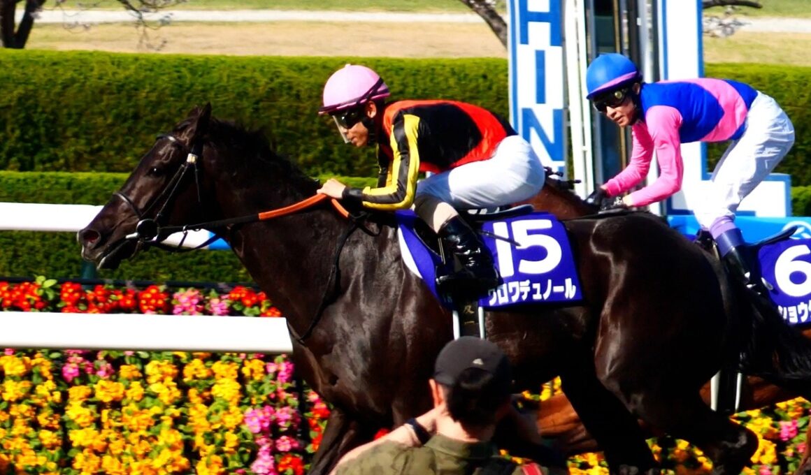 【武豊】大阪杯勝った！と思った瞬間に抜かれたレジェンドの表情