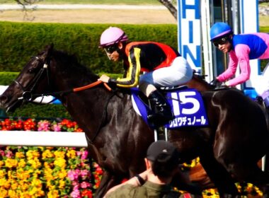 【武豊】大阪杯勝った！と思った瞬間に抜かれたレジェンドの表情