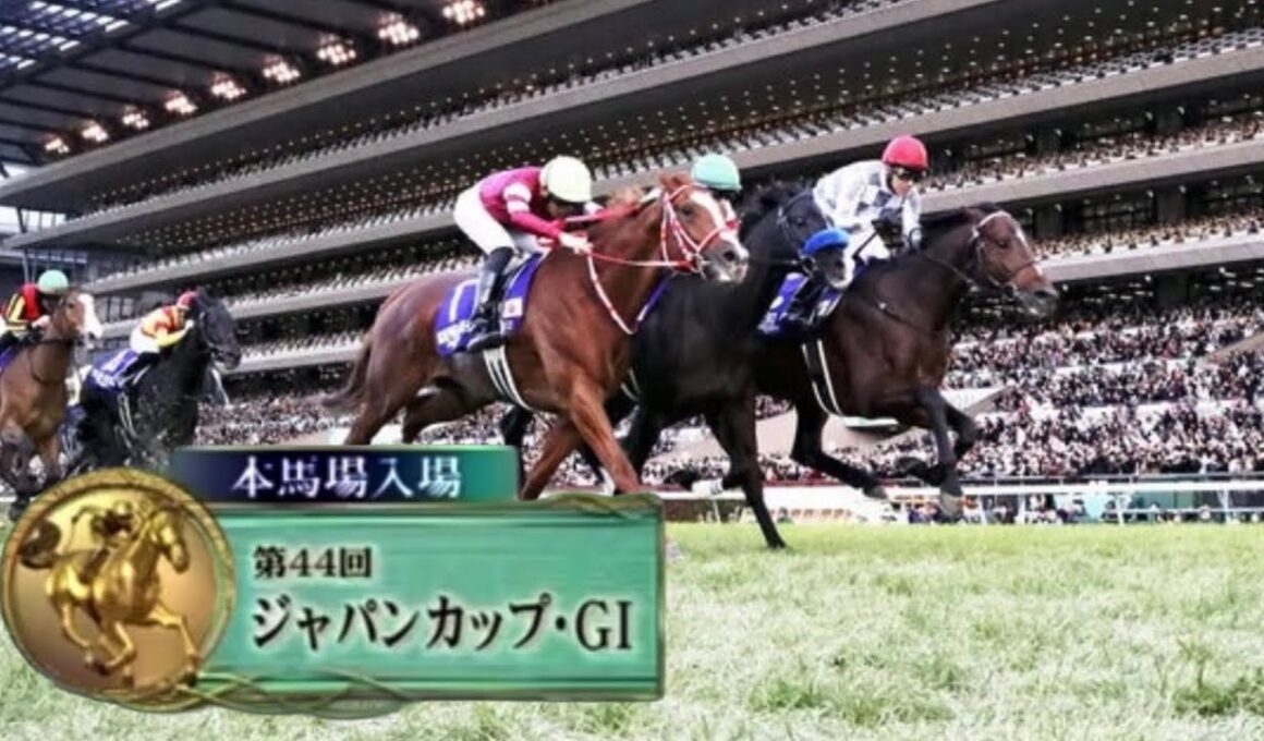 2024年第44回ジャパンカップ(G1)  本馬場入場
