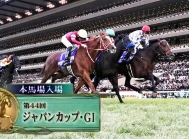2024年第44回ジャパンカップ(G1)  本馬場入場