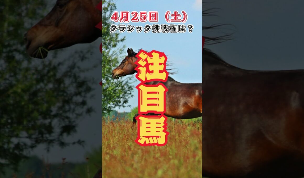 クラシック出走権はどの馬に？　中央競馬予想　4月25日　注目馬#shorts