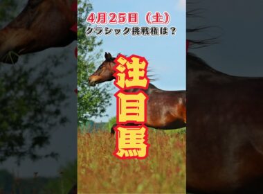 クラシック出走権はどの馬に？　中央競馬予想　4月25日　注目馬#shorts