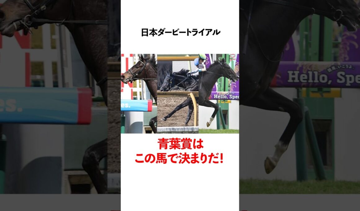 日本ダービートライアル　青葉賞を勝つのはこの馬だ！