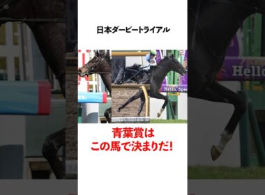 日本ダービートライアル　青葉賞を勝つのはこの馬だ！
