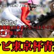 【競馬】 テレビ東京杯青葉賞 (ダービートライアル) 2026 / ゴーイントゥスカイ