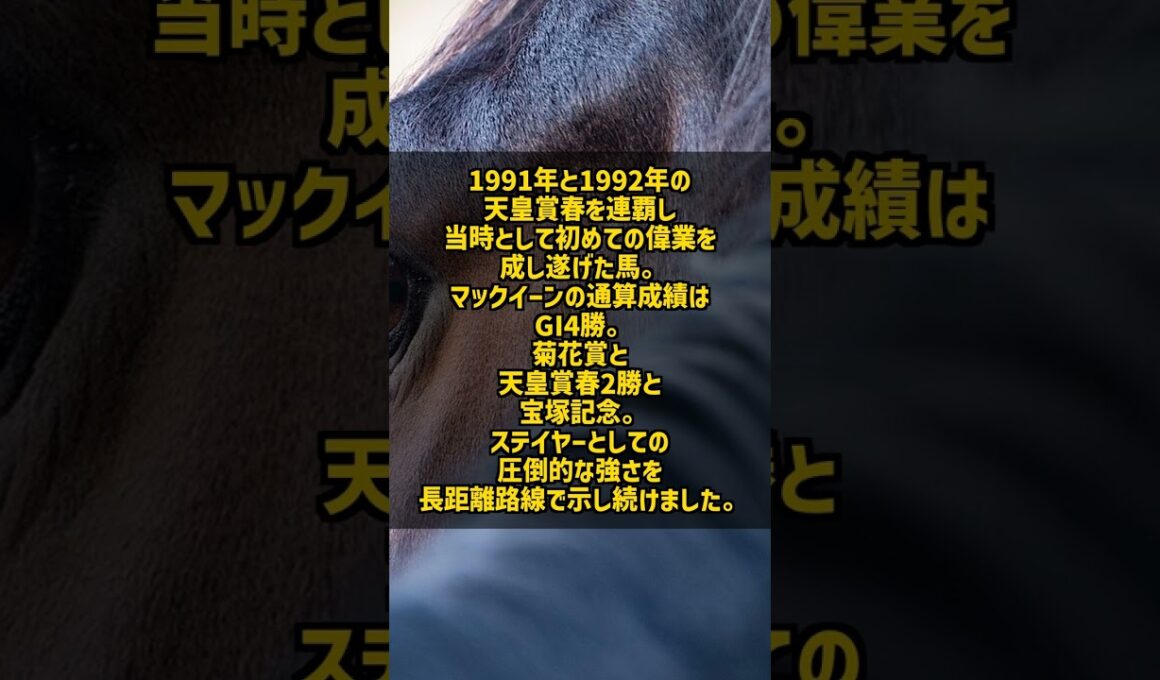メジロマックイーン1991-92 天皇賞春連覇 武豊が京都3200mを支配した長距離王 #Shorts