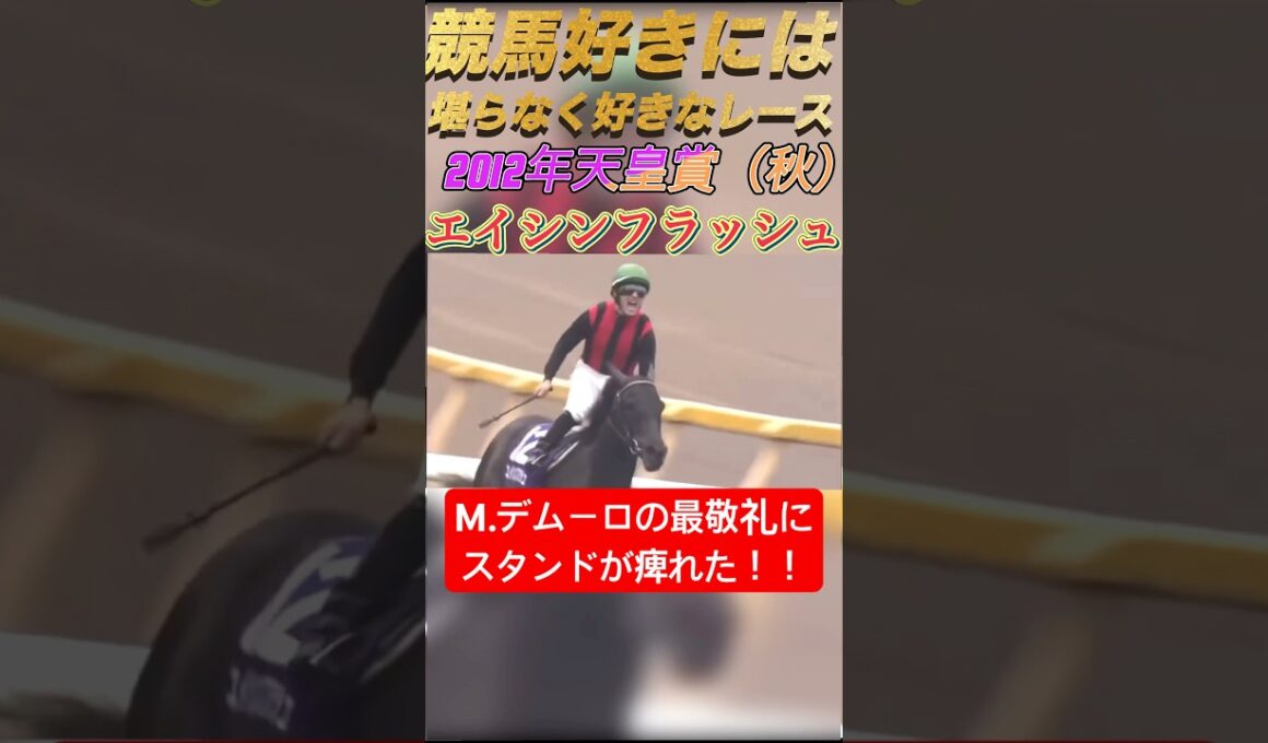 【競馬好きには堪らないレース】　　　　　エイシンフラッシュ天皇賞（秋）#競馬 #天皇賞秋 #天皇陛下 #エイシンフラッシュ #デムーロ #最敬礼#shots #shorts #horseracing