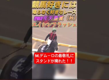 【競馬好きには堪らないレース】　　　　　エイシンフラッシュ天皇賞（秋）#競馬 #天皇賞秋 #天皇陛下 #エイシンフラッシュ #デムーロ #最敬礼#shots #shorts #horseracing