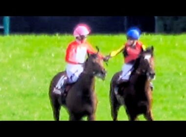 【青葉賞2026】武豊がゴーイントゥスカイを日本ダービーへ導く‼ウイニングラン 同じく権利を取った三浦皇成と握手‼ 現地映像