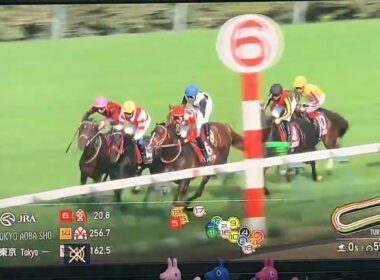 【競馬実況動画2026】日本ダービートライアル第33回テレビ東京杯青葉賞 ゴーイントゥスカイ（武豊）