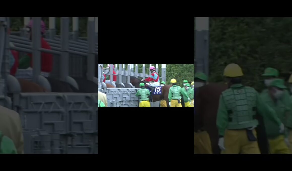 天才　イクイノックス＃イクイノックス＃ジオグリフ＃ドウデュース＃日本ダービー＃皐月賞＃パンサラッサ＃天皇賞・秋