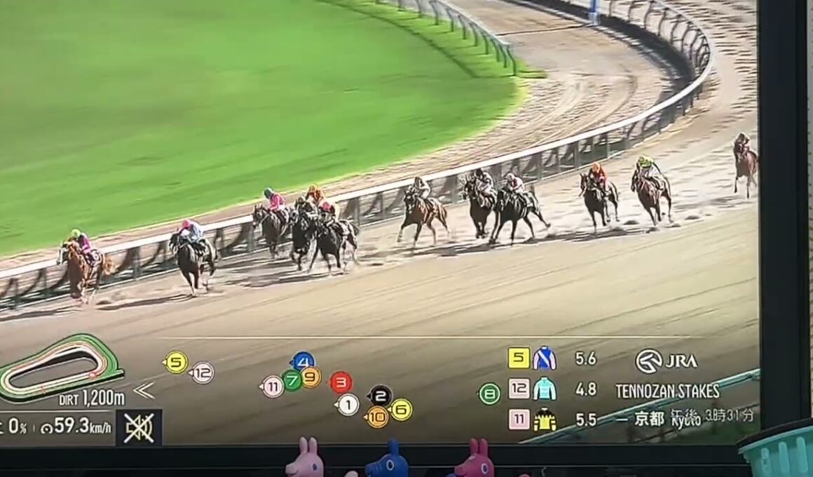 【競馬実況動画2026】第3回京都競馬1日目天王山ステークス ジュンウィンダム（国分優作）