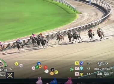 【競馬実況動画2026】第3回京都競馬1日目天王山ステークス ジュンウィンダム（国分優作）