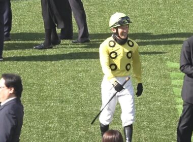 【各陣営の様子】2026 J・GⅠ 中山グランドジャンプ　【中山競馬場】