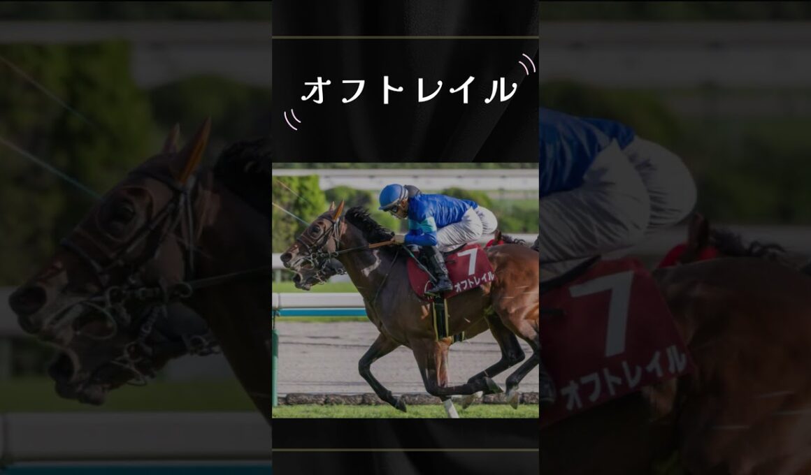 【マイラーズC2026】京都マイルは末脚勝負！オフトレイルと伏兵2頭で勝つ#マイラーズカップ #マイラーズC #競馬予想 #オフトレイル #ウォーターリヒト #べラジオボンド  #重賞予想 #安田記念