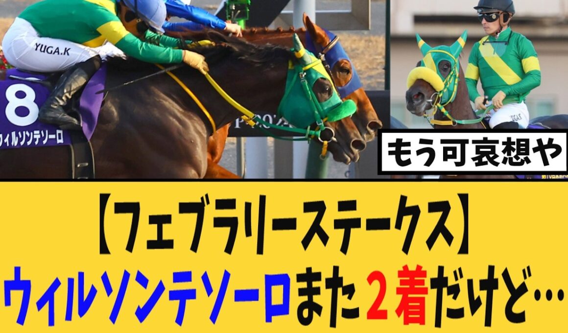 【フェブラリーステークス】ウィルソンテソーロまた２着・・・【競馬反応集】