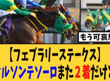 【フェブラリーステークス】ウィルソンテソーロまた２着・・・【競馬反応集】