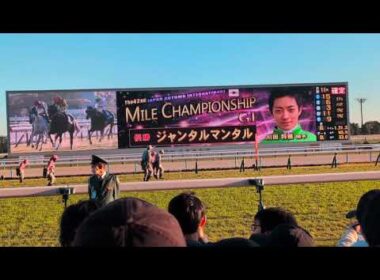 【課金ガッツポーズあり】2025 マイルCS ジャンタルマンタル 牡馬芝マイルGI完全制覇達成 煽りVTR〜ファンファーレ〜レース〜確定【現地】