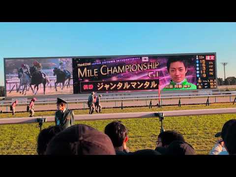 【課金ガッツポーズあり】2025 マイルCS ジャンタルマンタル 牡馬芝マイルGI完全制覇達成 煽りVTR〜ファンファーレ〜レース〜確定【現地】