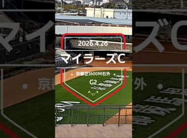 【マイラーズC 2026】上位5頭予想！安田記念のステップレース、読売マイラーズカップの開催です。
