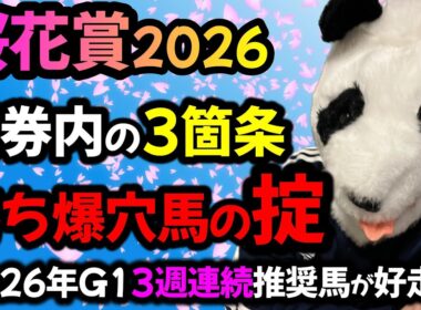 【桜花賞2026 勝ち爆穴馬の掟🐼】レース傾向の対策と狙うだけで馬券内の馬わかる掟3箇条を暴露します🐼