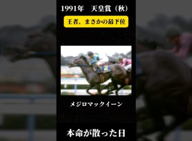 先頭でゴールして最下位になった。【1991年 天皇賞（秋）】#競馬 #天皇賞秋 #メジロマックイーン #降着 #武豊 #プレクラスニー #名馬