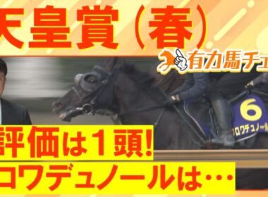 「スタミナ強化の調教で…」クロワデュノールは3200mに対応できるか！？武豊騎手が導くアドマイヤテラ、連覇を狙うヘデントールは・・・競馬エイト津田照之TMと有力馬をチェック！＜天皇賞(春)ＧⅠ＞