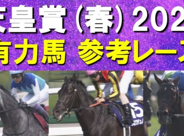 【予想のお供に是非！】G I・3勝のクロワデュノール、阪神大賞典を快勝アドマイヤテラ、連覇を狙うヘデントール・・・天皇賞(春)の参考レースをお届け！