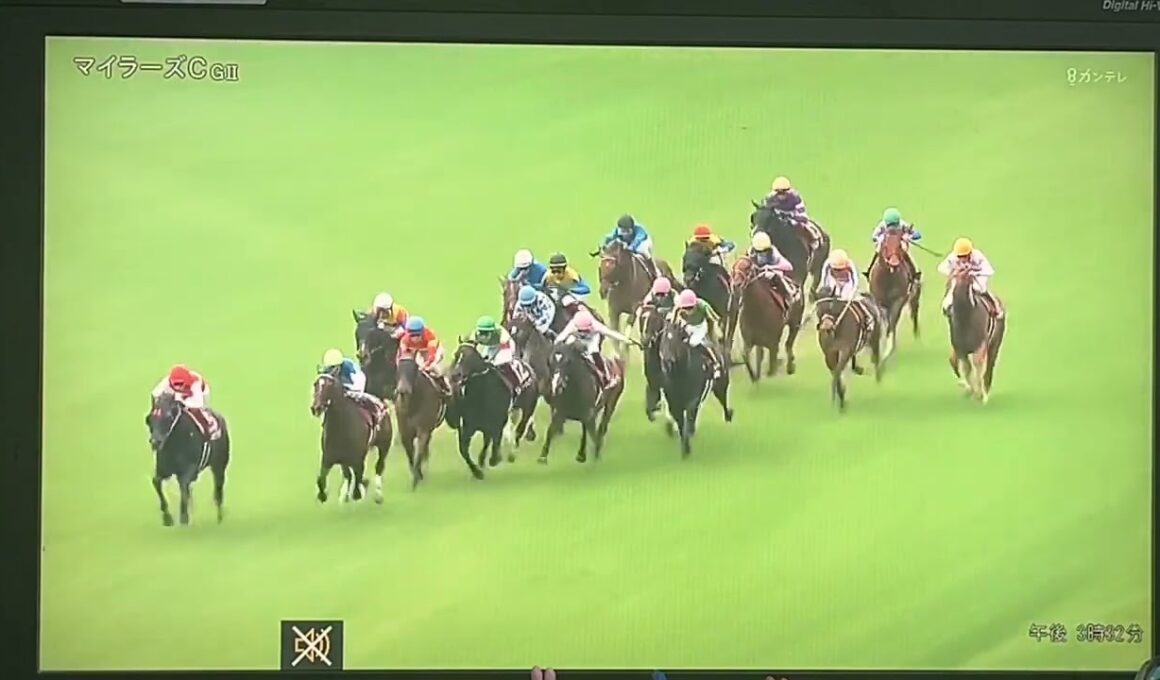 【競馬実況動画2026】第57回読売マイラーズカップ アドマイヤズーム（武豊）