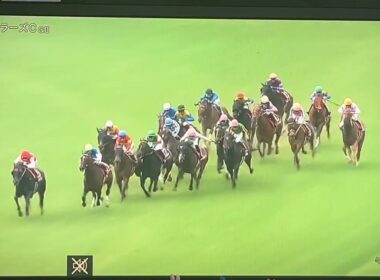 【競馬実況動画2026】第57回読売マイラーズカップ アドマイヤズーム（武豊）