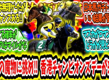 『【枠順確定】香港の魔物に挑め‼ 香港チャンピオンズデーが来る‼』に対するみんなの反応【競馬の反応集】