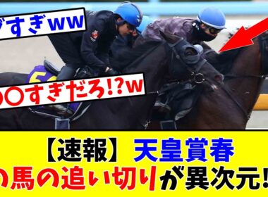 【天皇賞春】【速報】あの馬の追い切りが異次元すぎる!?www