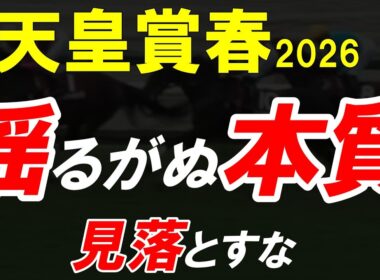 天皇賞春2026｜全頭診断で語れなかった2頭＋今注目すべき5頭 “崩れない馬”はどれだ