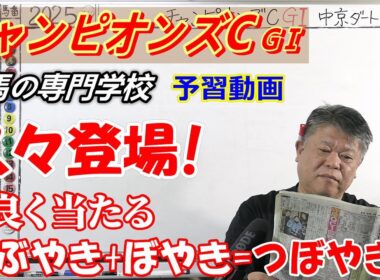 【チャンピオンズC2025】予習動画 この条件何よりも大切なのは枠順と枠の並び【競馬の初心者の方にもわかりやすく解説】