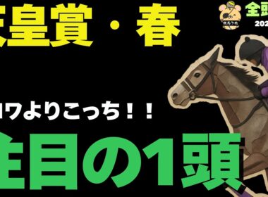【天皇賞・春攻略】クロワより買いたい！京都で躍動する注目の1頭は！【競馬予想】