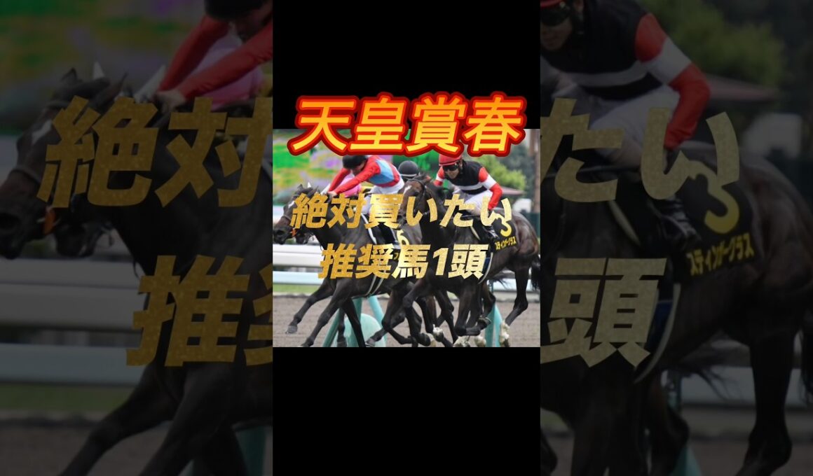 天皇賞春2026 絶対買いたい推奨馬1頭紹介