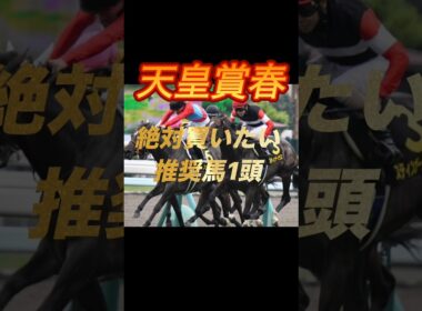 天皇賞春2026 絶対買いたい推奨馬1頭紹介