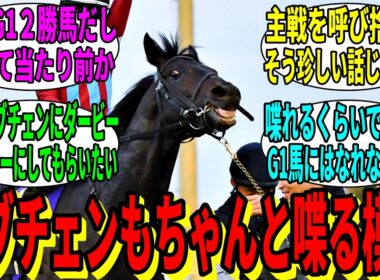 【競馬の反応集】「最近のGI馬は喋るやつばっかりだな」に対する視聴者の反応集