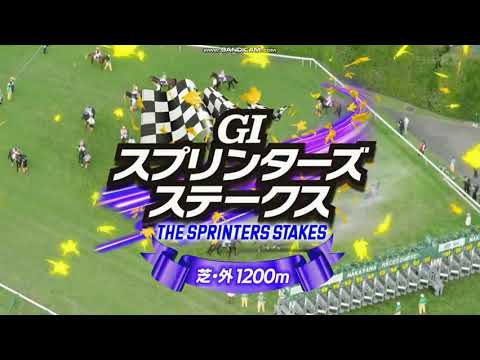 2025年 スプリンターズステークス（GⅠ）ファンファーレ