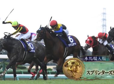 2023年第57回スプリンターズステークス(G1)本馬場入場