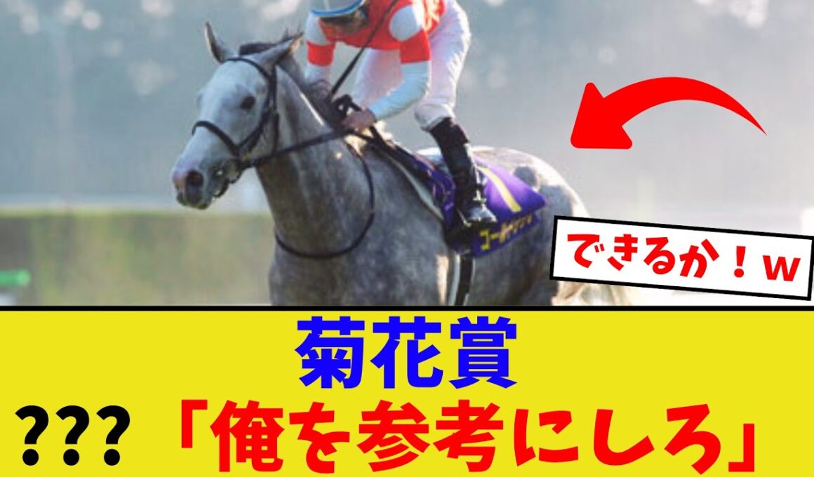 「菊花賞の走り方？俺を参考にしろ！」【競馬反応集】
