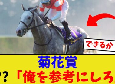 「菊花賞の走り方？俺を参考にしろ！」【競馬反応集】